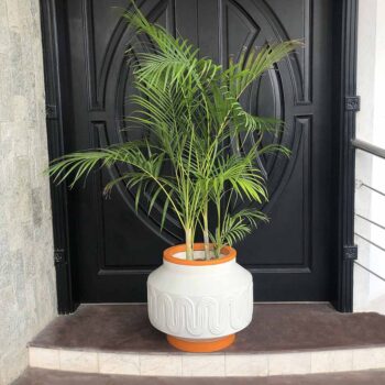 Citron Floor Planter