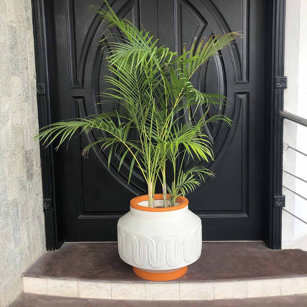 Citron Floor Planter – Creo Living Citron Floor Planter , Fiberglass Planter , indoor planter , planter pot, round floor planter, cheap floor planters, modern floor planter , big planters