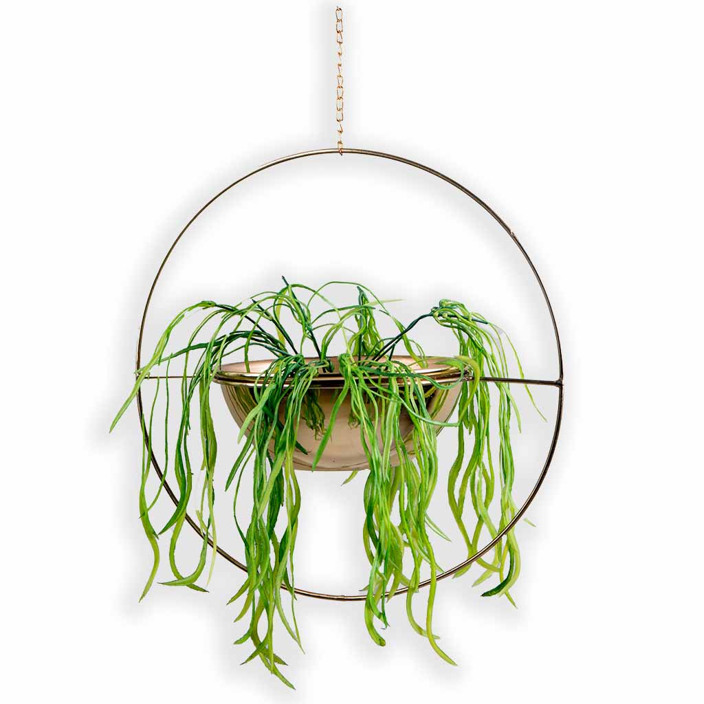 Aster Bowl – Creo Living Aster Bowl - Image 3