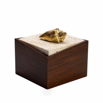 Seashell Keepsake Box
