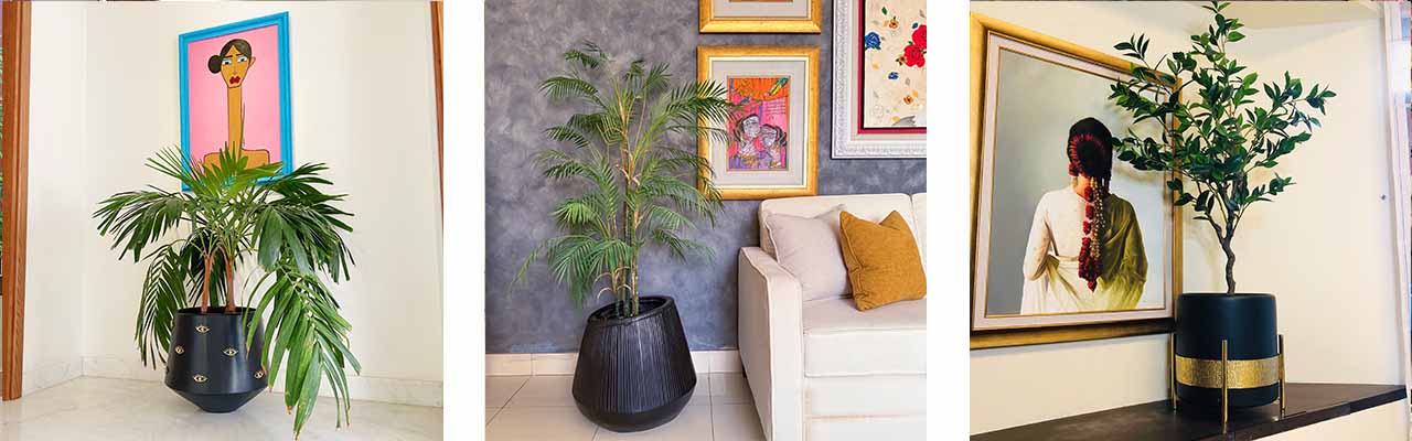 The Complete Guide to Indoor & Outdoor Planters in Pakistan – Creo Living The Complete Guide to Indoor & Outdoor Planters in Pakistan in Pakistan