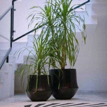 Aero Floor Planter