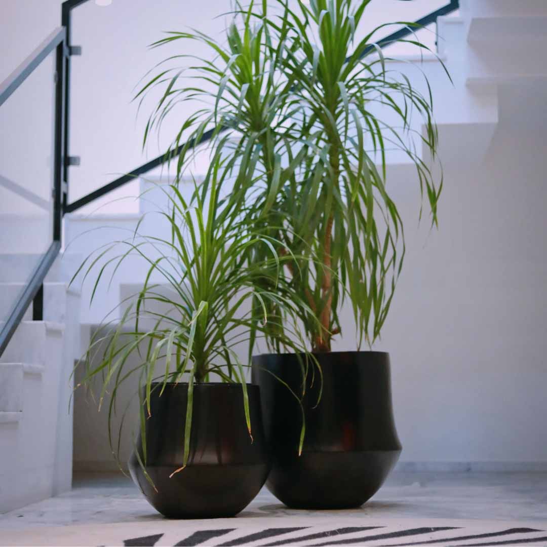 Aero Floor Planter – Creo Living Aero Floor Planter , Concrete Planter , Fiberglass Planter , indoor planter , planter pot, round floor planter, brass planter , cheap floor planters, modern floor planter , big planters
