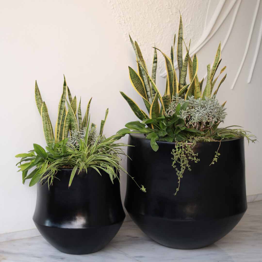 Aero Floor Planter – Creo Living Aero Floor Planter , Concrete Planter , Fiberglass Planter , indoor planter , planter pot, round floor planter, brass planter , cheap floor planters, modern floor planter , big planters